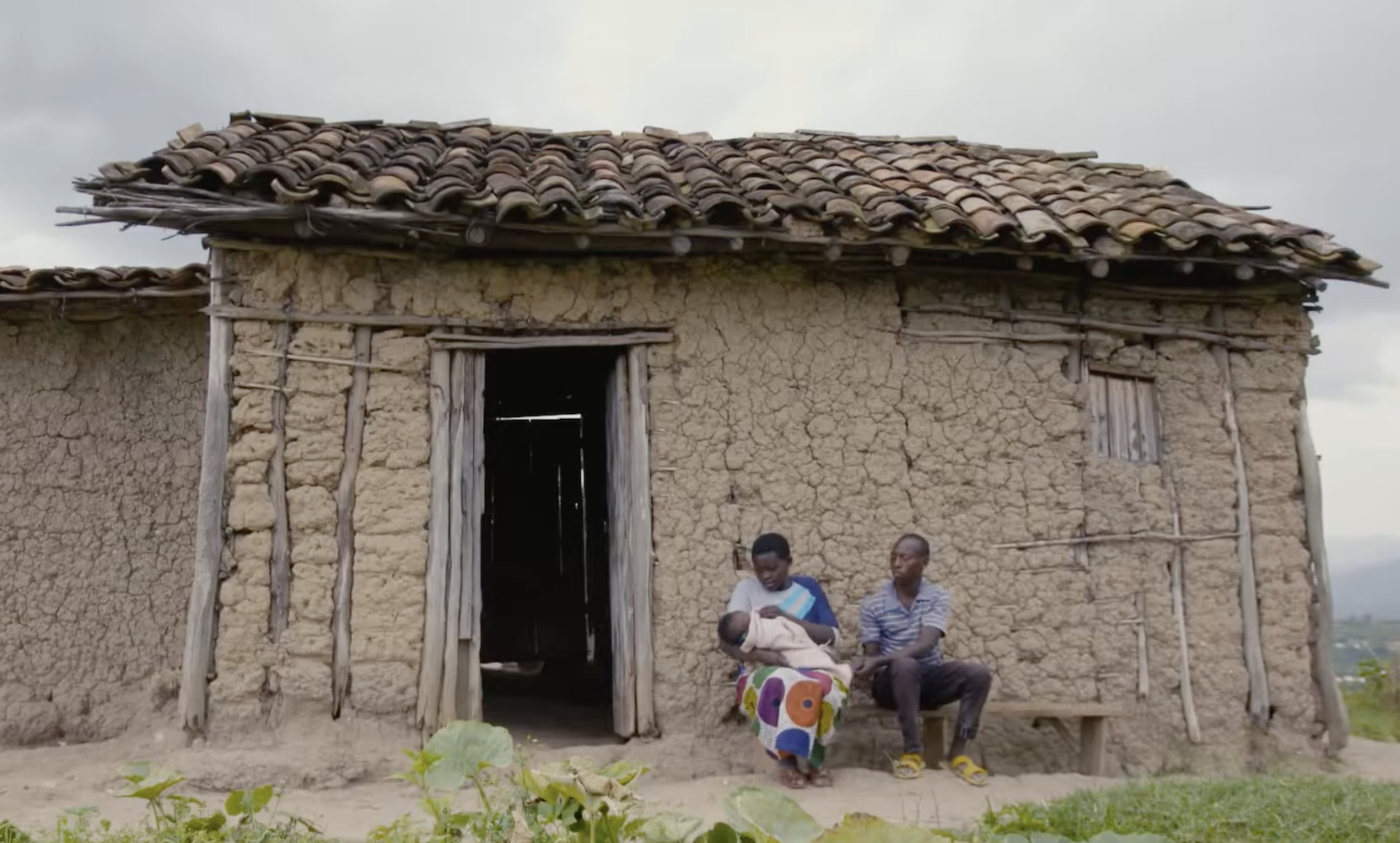 GiveDirectly Works to End Extreme Poverty Through Direct Cash Transfers